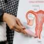 A person presents a detailed diagram of the female reproductive system on a whiteboard.