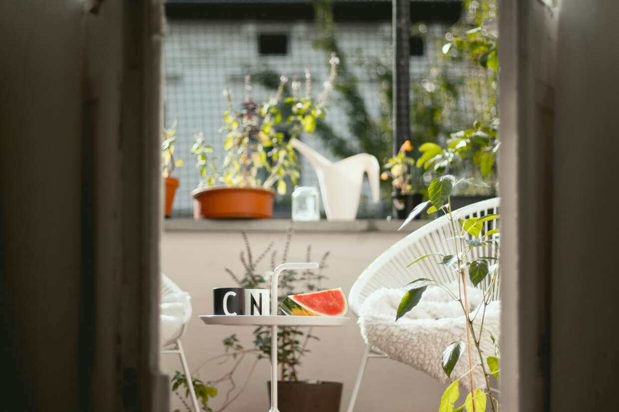 View through a doorway into a sunlit balcony with potted plants, a white chair with a cushion, and a small table holding a slice of watermelon and two mugs.