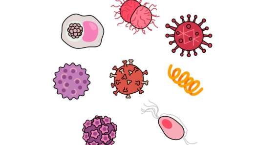 Illustration of various stylised microbes, including bacteria and viruses, representing sexually transmitted infections.