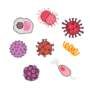 Illustration of various stylised microbes, including bacteria and viruses, representing sexually transmitted infections.