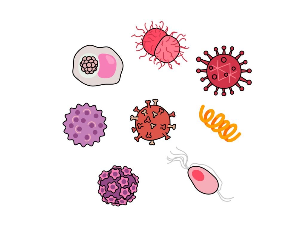 Illustration of various stylised microbes, including bacteria and viruses, representing sexually transmitted infections.