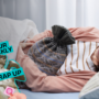 A person lies curled on their side in bed, holding a hot water bottle against their abdomen. A “Your Weekly Wrap Up” graphic with a classical statue and condom illustration appears in the lower-left corner.