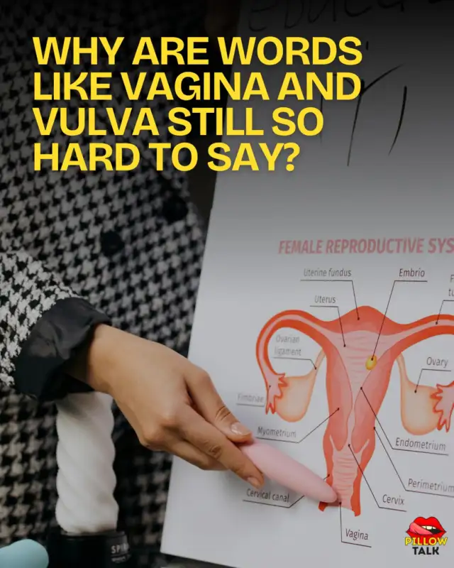 Why do so many of us grow up knowing the shame before we know the words?

As part of our Bold Type Fellowship, we looked at why words like vagina and vulva still feel taboo and what that silence does to body literacy, health and self-advocacy.

Because if we can’t name our bodies properly, how are we meant to talk about what’s normal, what’s wrong, or what we need?

👇🏼 Comment “language” to get the article straight in your DMs, or head to the link in bio to read the full article.